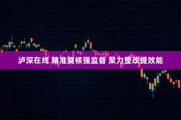 泸深在线 精准复核强监督 聚力整改提效能