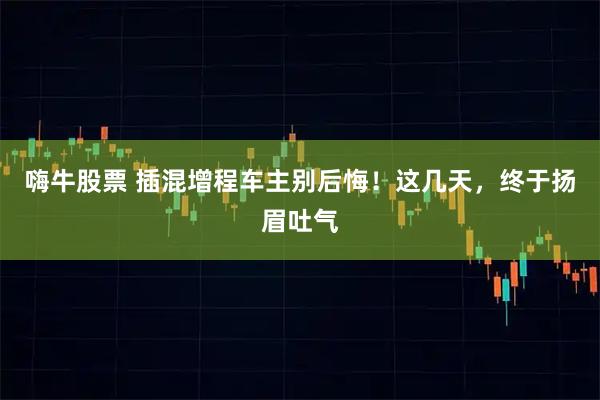 嗨牛股票 插混增程车主别后悔！这几天，终于扬眉吐气